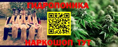 Альфа ПВП Кингисепп
