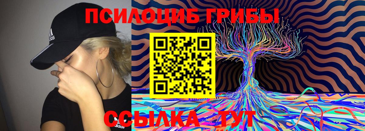 Кисловодск  Псилоцибиновые грибы Psilocybe  Вход с VPN  Псилоцибиновые грибы Cubensis 